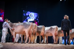 AR302569-2 AR302569-2