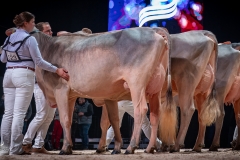 AR302574-2 AR302574-2