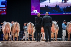 AR302577-2 AR302577-2