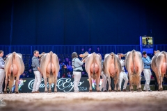 AR302604-2 AR302604-2