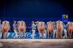 AR302606-2 AR302606-2