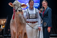 AR302617-2 AR302617-2