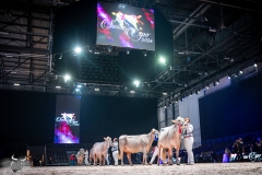 AR302622-2 AR302622-2