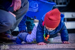 AR302636-2 AR302636-2