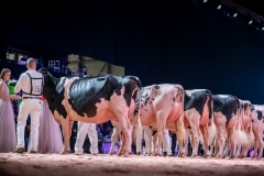 DSC01503-2 DSC01503-2