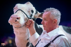 AR307706-2 AR307706-2