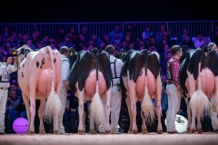 AR307720-2 AR307720-2