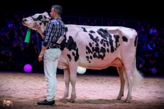 AR307740-2 AR307740-2