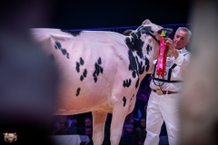 AR307741-2 AR307741-2