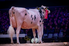 AR307743-2 AR307743-2