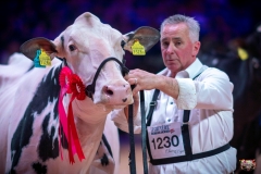 AR307753-2 AR307753-2