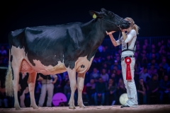 AR308117-2 AR308117-2