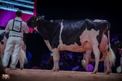 AR308229-2 AR308229-2