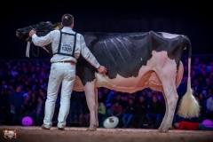 AR308231-2 AR308231-2