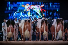 AR308395-2 AR308395-2