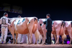 AR308419-2 AR308419-2