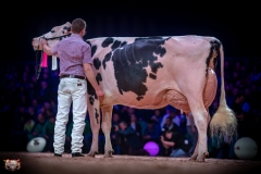 AR308450-3 AR308450-3