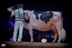 AR308455-3 AR308455-3