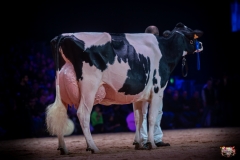 AR308460-2 AR308460-2