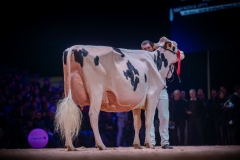 AR308465-2 AR308465-2