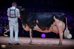 AR308549-2 AR308549-2