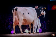 AR308685-2 AR308685-2