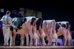 AR306890-2 AR306890-2