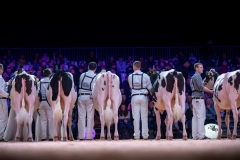 AR306902-2 AR306902-2