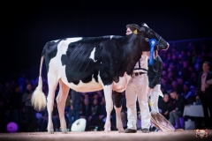 AR306915-2 AR306915-2