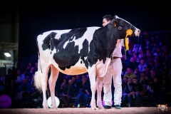 AR306924-2 AR306924-2