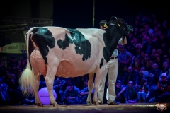 AR308706-2 AR308706-2