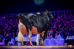 AR308714-2 AR308714-2