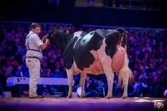 AR308716-2 AR308716-2