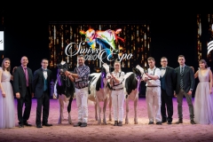 DSC01499-2 DSC01499-2