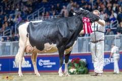 A100013A-35773 A100013A-35773