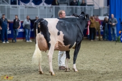 A100039-35774 A100039-35774