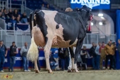 A100048-35775 A100048-35775