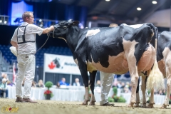 A109958A-35757 A109958A-35757