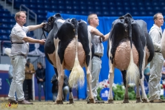 A109974A-35761 A109974A-35761