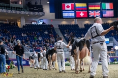 AR308537-35742 AR308537-35742