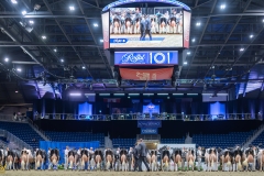 AR308560-35758 AR308560-35758