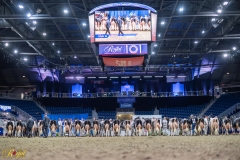 AR308563-35759 AR308563-35759