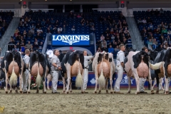 AR308581-35768 AR308581-35768