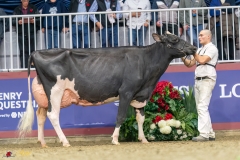 KVB08525-35738 KVB08525-35738