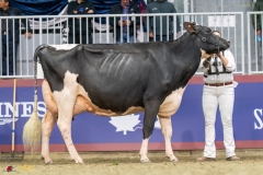 KVB08538-35745 KVB08538-35745