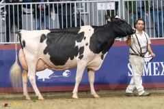 KVB08543-35746 KVB08543-35746