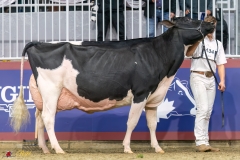 KVB08548-35747 KVB08548-35747