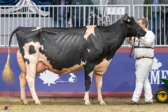 KVB08550-35748 KVB08550-35748