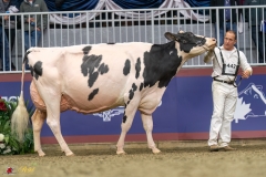 KVB08552-35749 KVB08552-35749