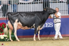 KVB08571-35753 KVB08571-35753